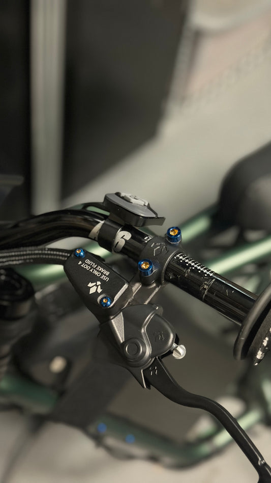 Formula/ultra bee brake titanium kit